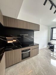 Irwell Hill Residences (D9), Apartment #552731221